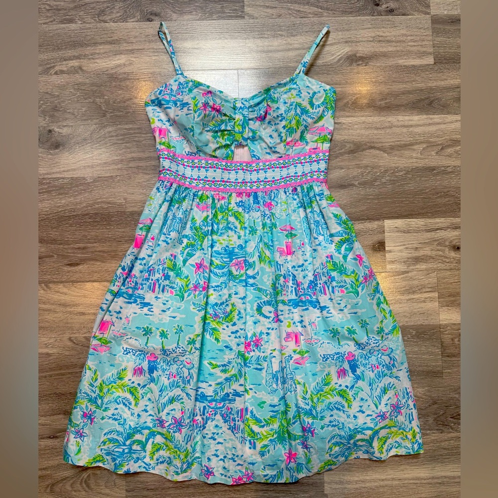 🌴 Lilly Pulitzer Sundress | Size 2 | Hangin’ With My Boo Print